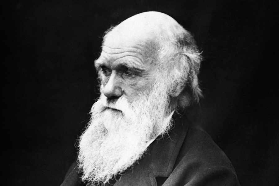 Darwin’s Unbelief is News?