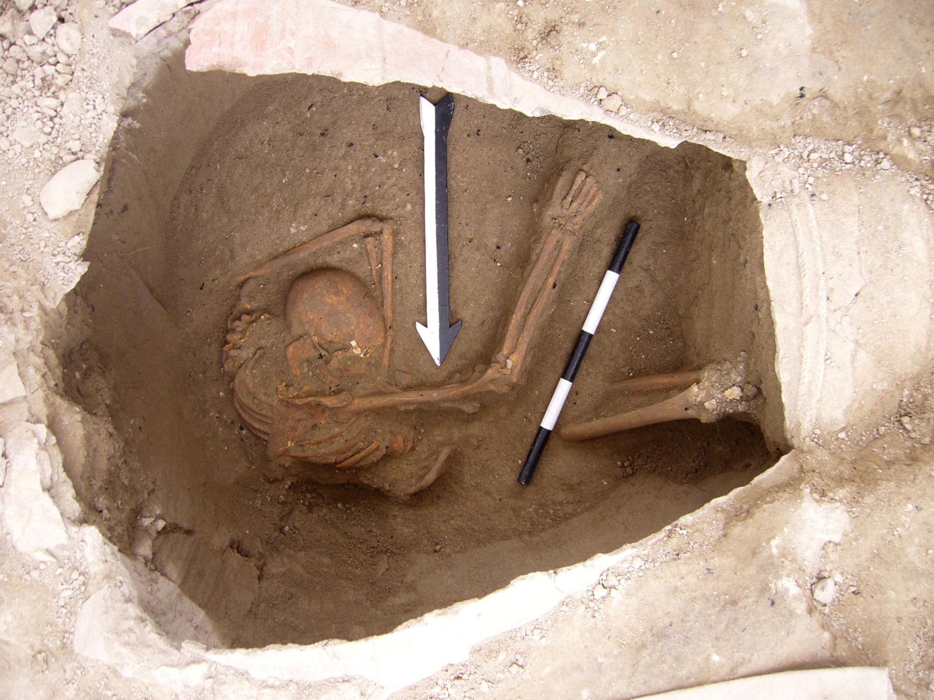 DNA Confirms the Bible: Israelites did not wipe out the Canaanites