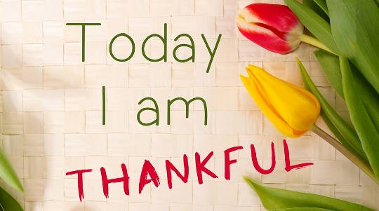Thanksgiving: Being Thankful When You Don’t Feel Like it