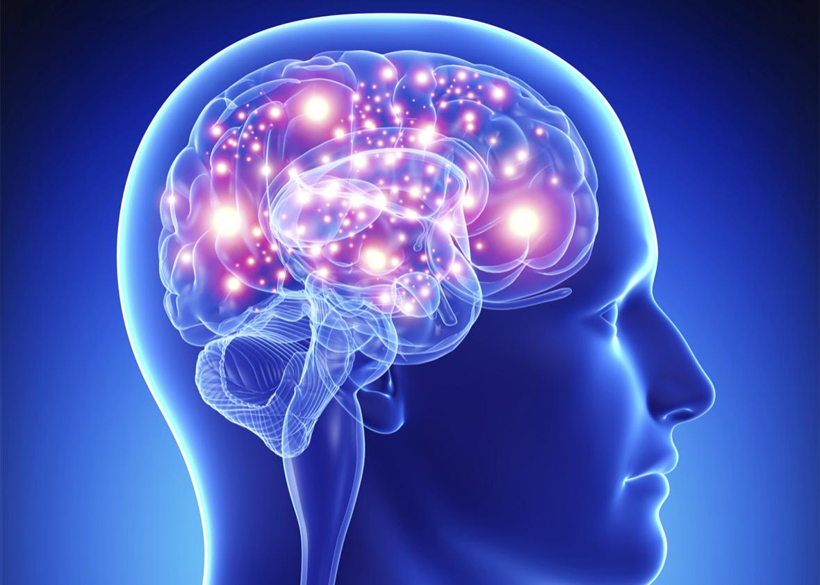 The Human Brain: Praise Chance!