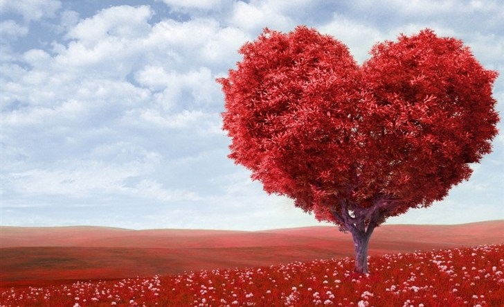 Falling in Love with God!