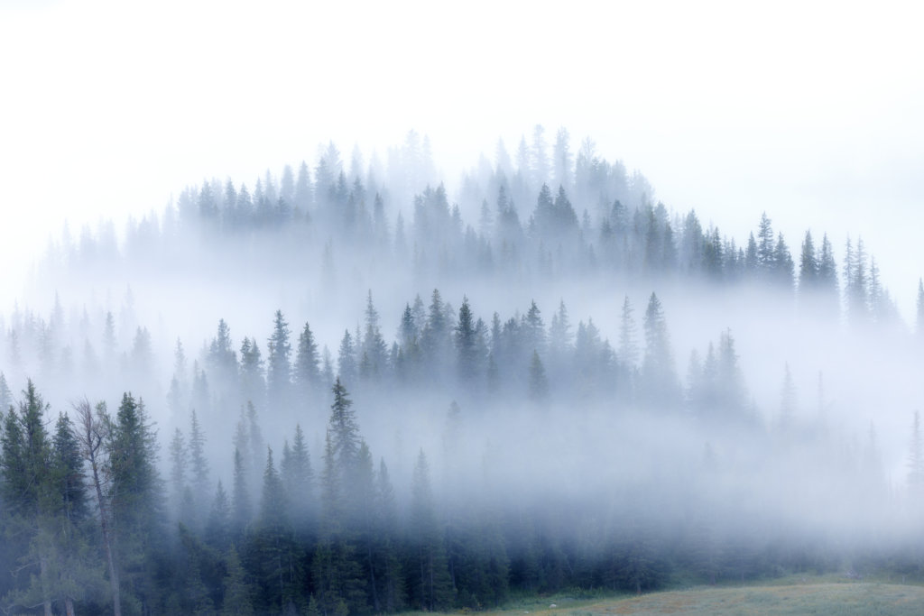 What is your life? You are a mist that appears for a little while and then vanishes.